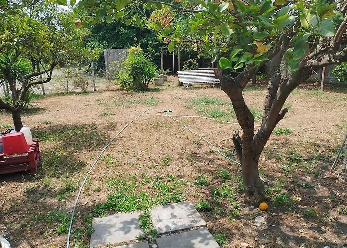 Dedalo 게스트하우스 3*